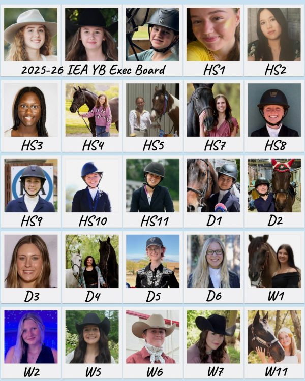 2025-2026 IEA YB
