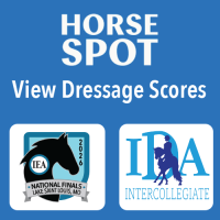 Horse Spot Button
