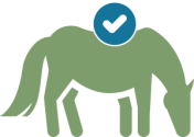 Horse Welfare Icon