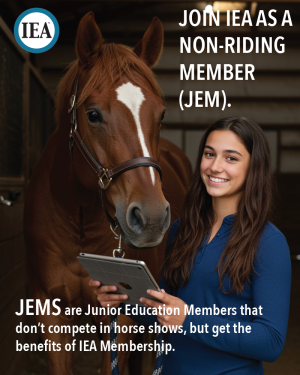 IEA JEMS Insta 2025